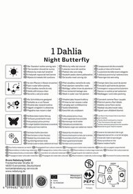 Dahlia Night Butterfly Pflanzpapier mit Pflegehinweisen, Symbole, Adresse und Logo im unteren Bereich