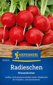 Radieschen mit grünen Stielen in Korb.