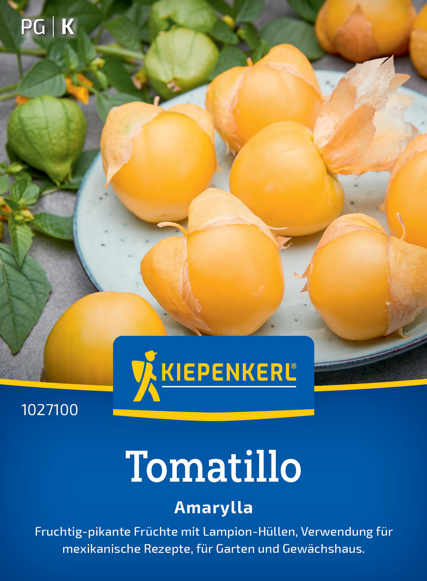 Gelbe Tomatillos mit offenstehenden Papierhülsen auf einer hellblauen Platte, grüne Pflanzen und Tomatillos im Hintergrund.