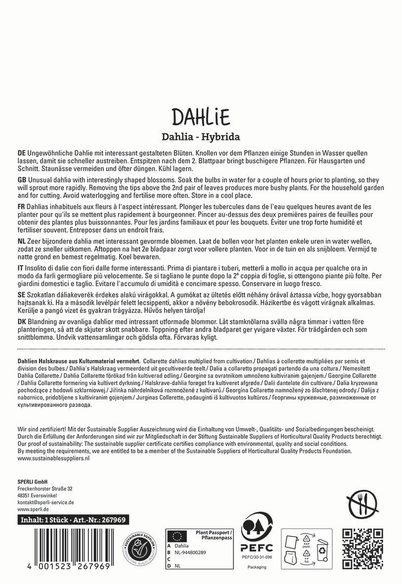 Text mit Informationen zu Dahlia-Hybriden in mehreren Sprachen, Symbole und Barcode auf weißem Hintergrund.