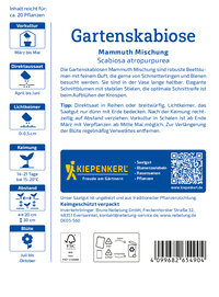 Gartenskabiosensamen Mammuth Mischung