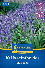 Hasenglöckchen Blue Bells