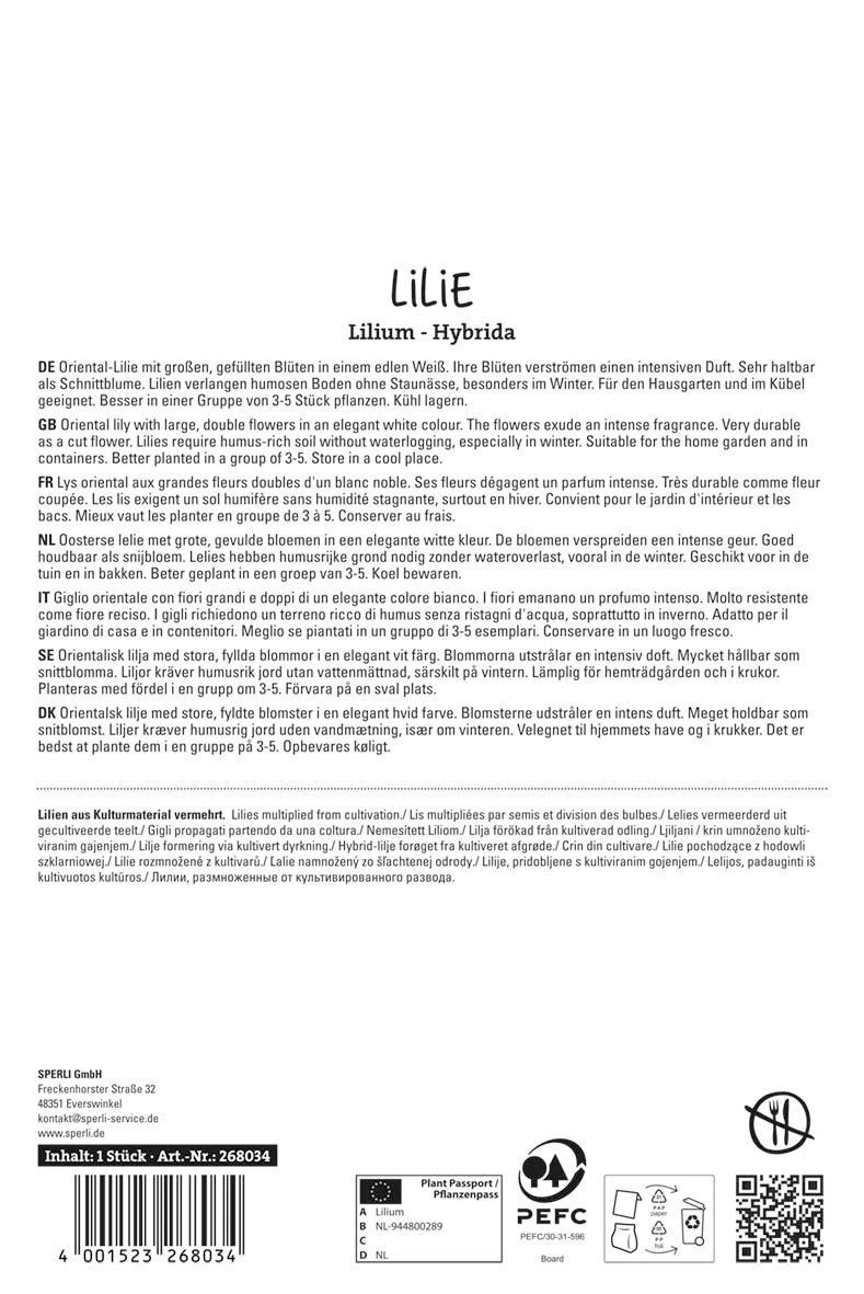 Lilie Polar Star