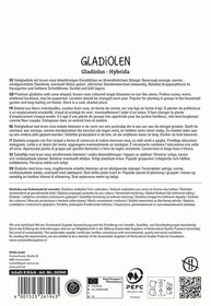 Gladiolen, braun-rosafarbene Blüten, an hoher Stängel, mit Text auf der Rückseite in mehreren Sprachen.