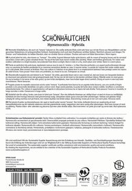 Schönhäkchen aus Kulturmaterial vermehrt, Spinnen, Lilien, grün, Blätter, Blüten, Pflanze, Hobby, Wachstum.