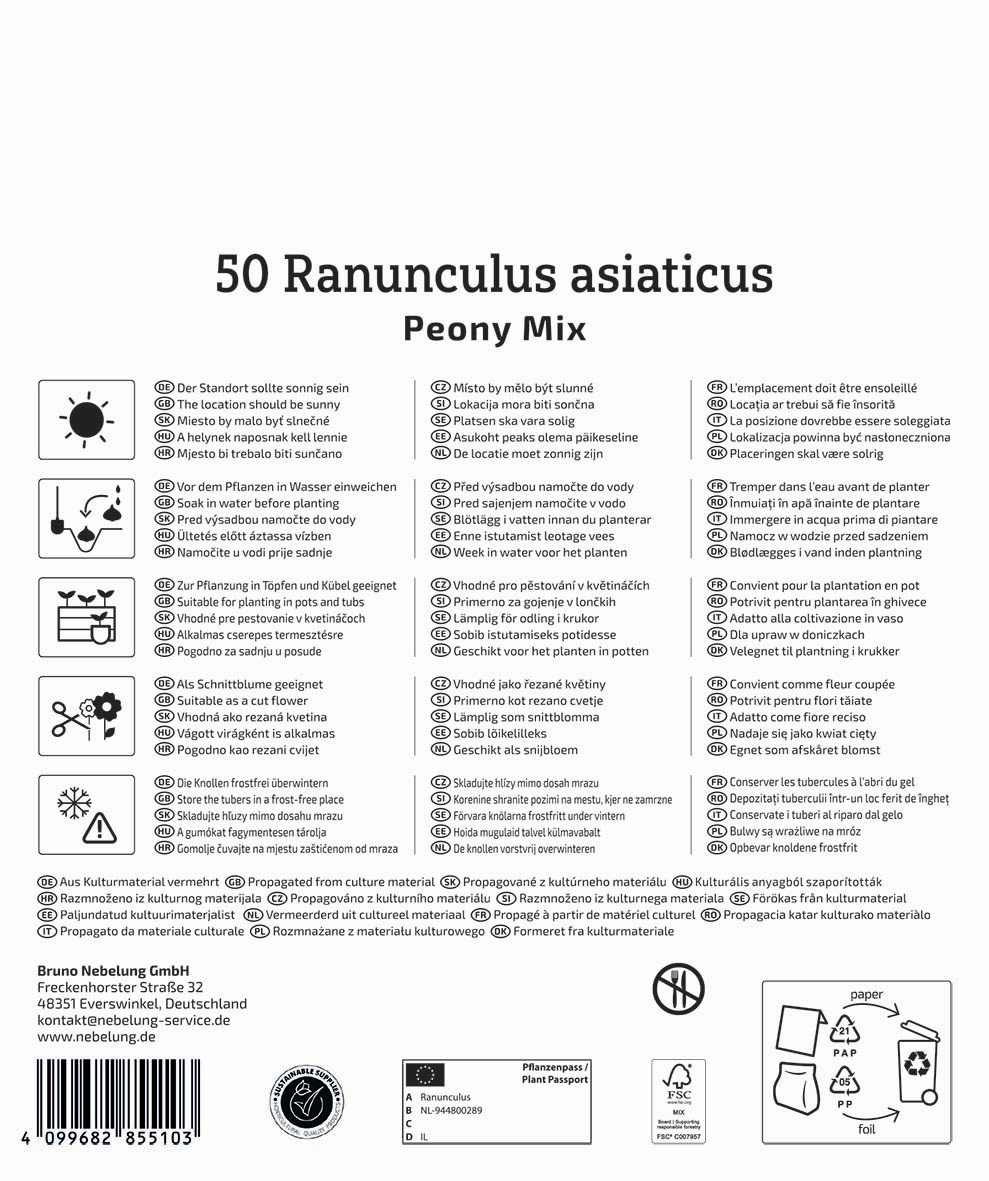 Packung mit 50 Ranunculus asiaticus Peony Mix Blumen, Beschreibung in mehreren Sprachen, Symbolik für Versand, Herstellerinformationen.