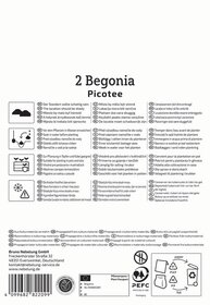 Anleitung für das Pflanzen von Begonia Picotee mit Schaubildern und Text in mehreren Sprachen.