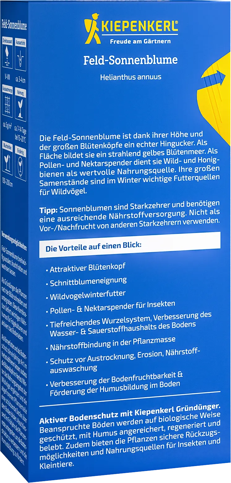 Feld-Sonnenblume, 0,125 kg