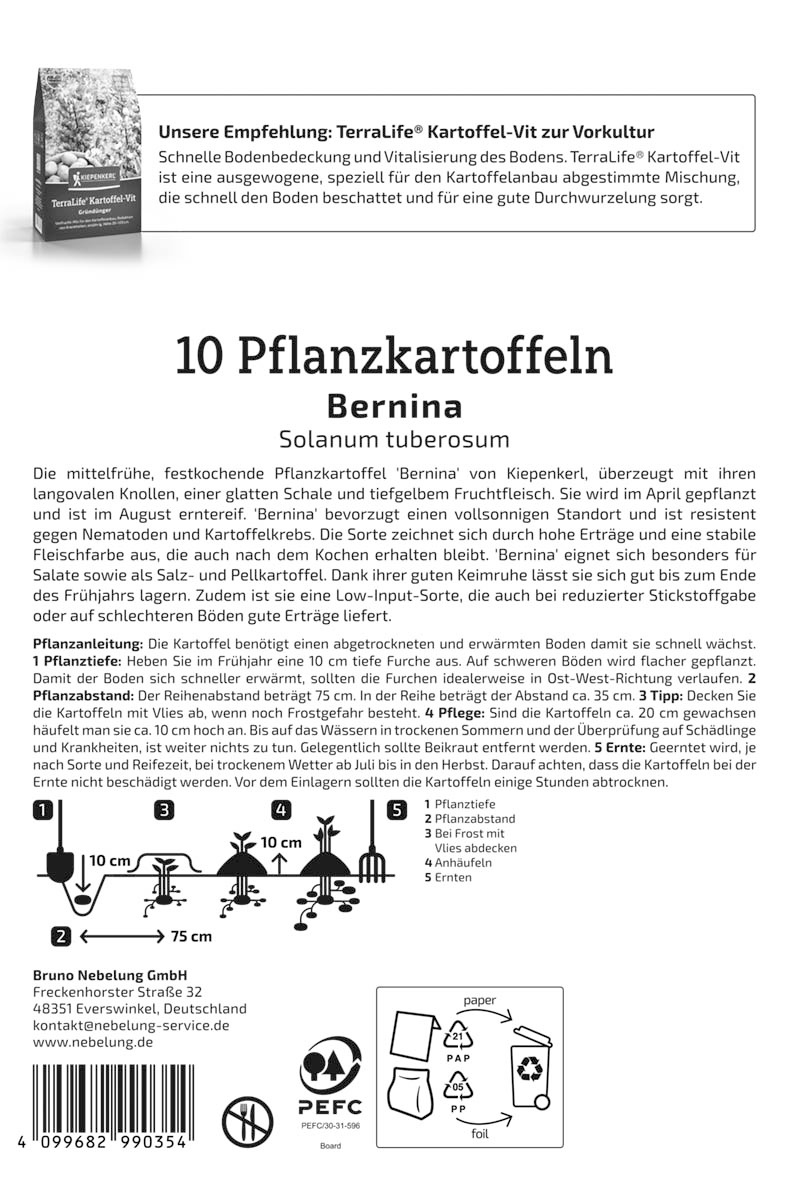 Pflanzkartoffel Bernina, 10 Stück