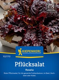 Bunte, lockere Blätter von Roter Pflücksalat auf einem Holztablett.