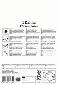 Text auf einem Pflanzenpass enthält Informationen zur Dahlie Pflanzzeit, Standort, Wasserbedarf, Schnitt, Giftigkeit, Überwinterung und Pflegehinweise.
