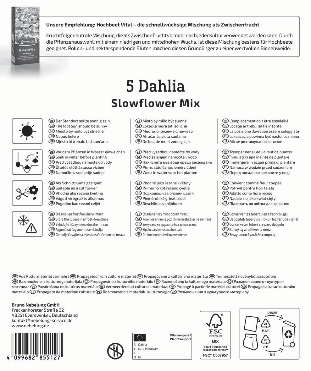 Mega-Pack Dahlien Slowflower Mix