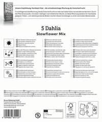 Mega-Pack Dahlien Slowflower Mix
