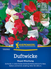 Duftwickensamen Royal Mischung