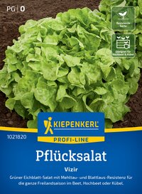 erdbeergeschmack künstlich Seccofranz Erdbeersecco – Fruchtig & prickelnd