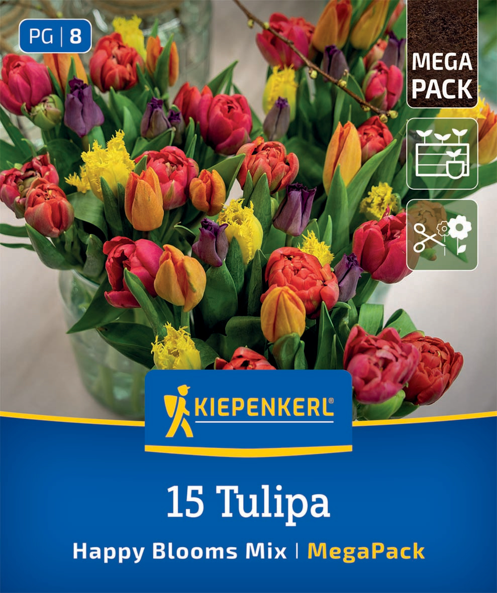 Mega-Pack Tulpenmischung Happy Bloom Mix