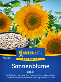 Sonnenblumensamen Snack