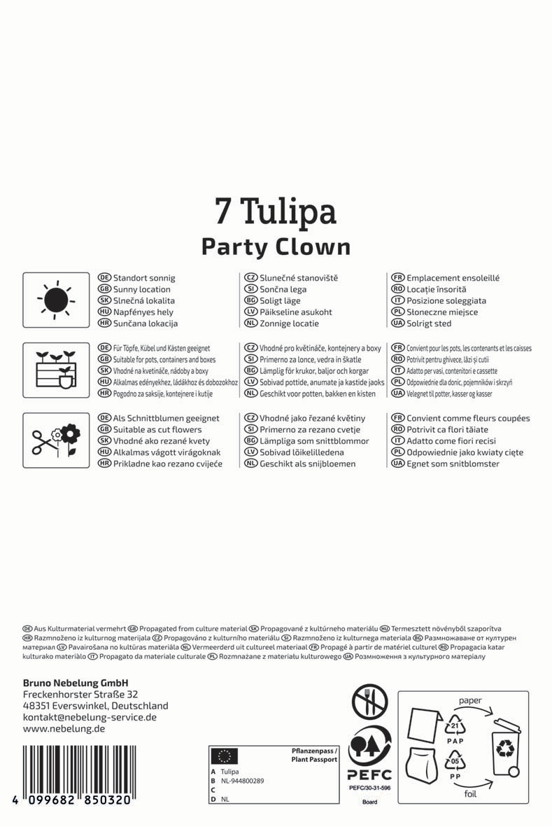 Gefranste Tulpe Party Clown
