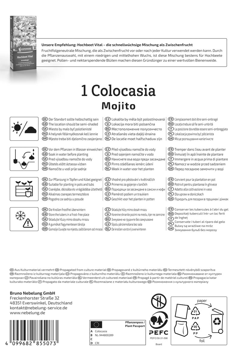 Colocasie Mojito