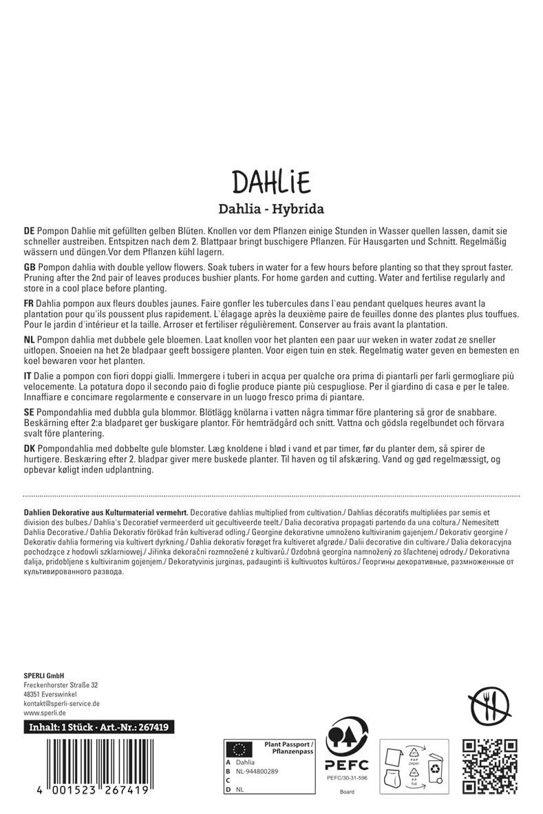 Dahlie Golden Scepter