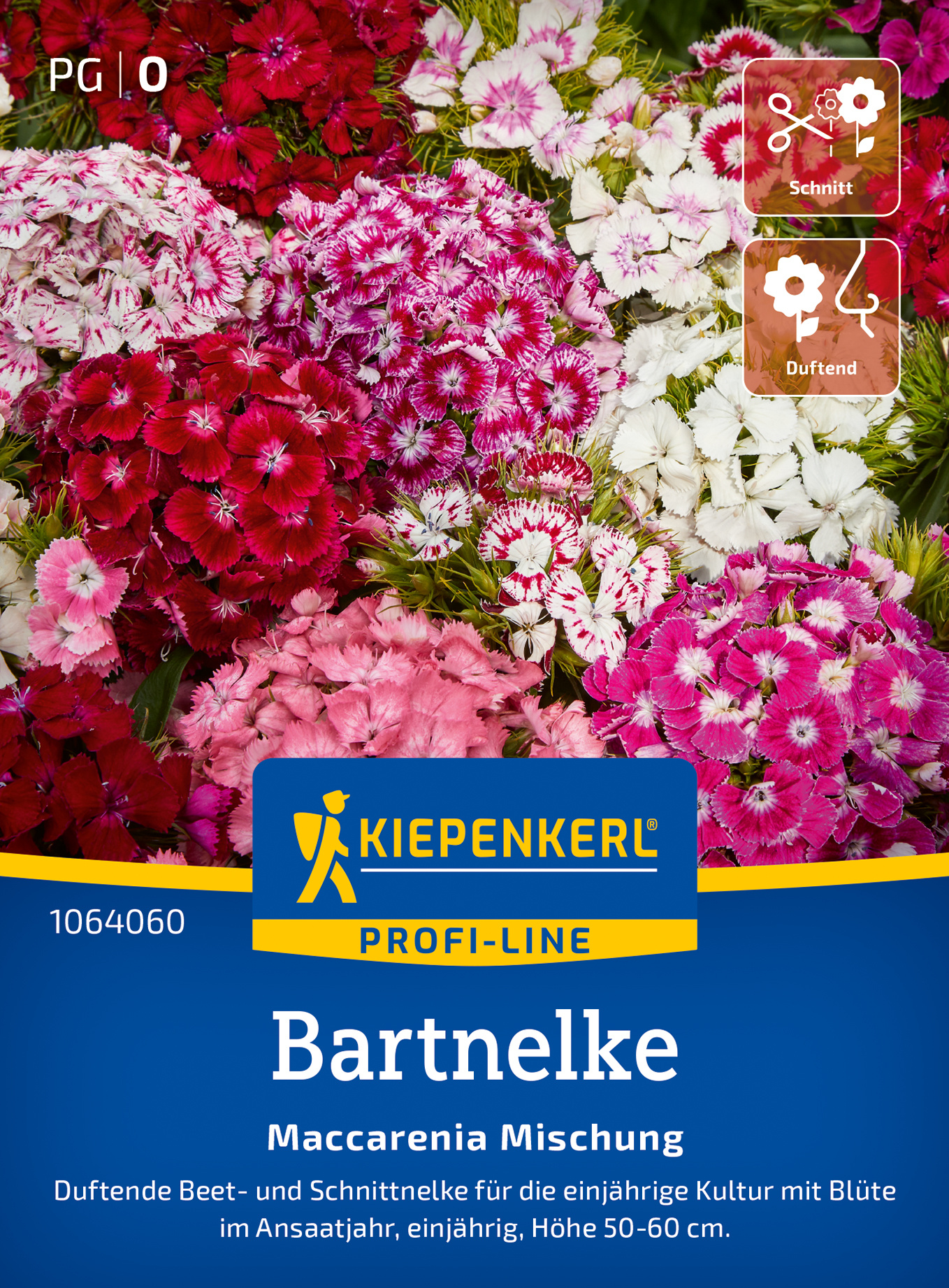 Bartnelkensamen Maccarenia Mischung