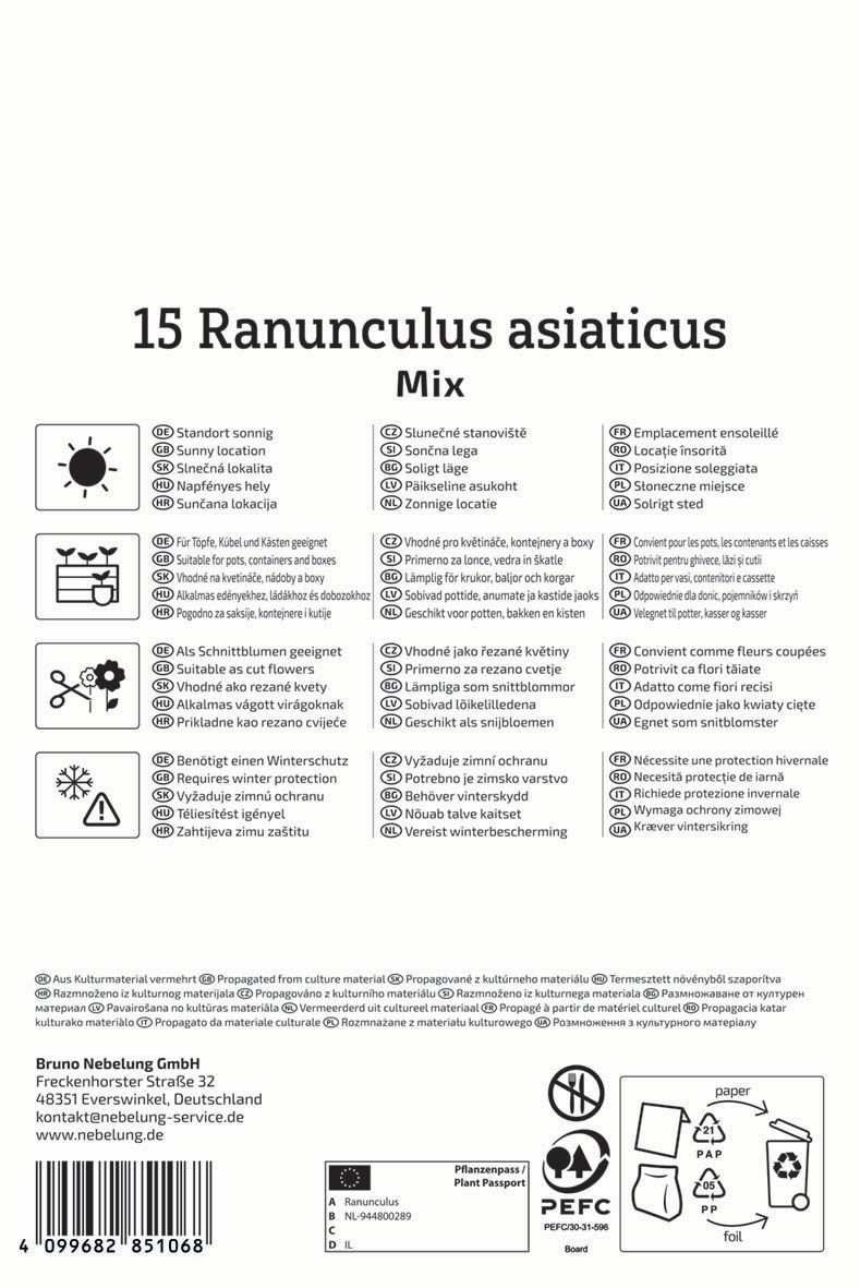 Ranunkeln Mischung Aviv Mix
