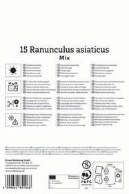 Ranunkeln Mischung Aviv Mix