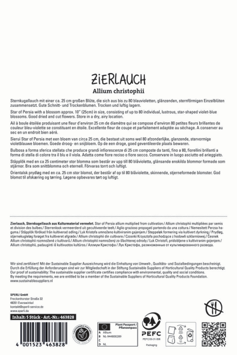 Zierlauch Allium christophii