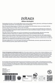 Zierlauch Allium christophii