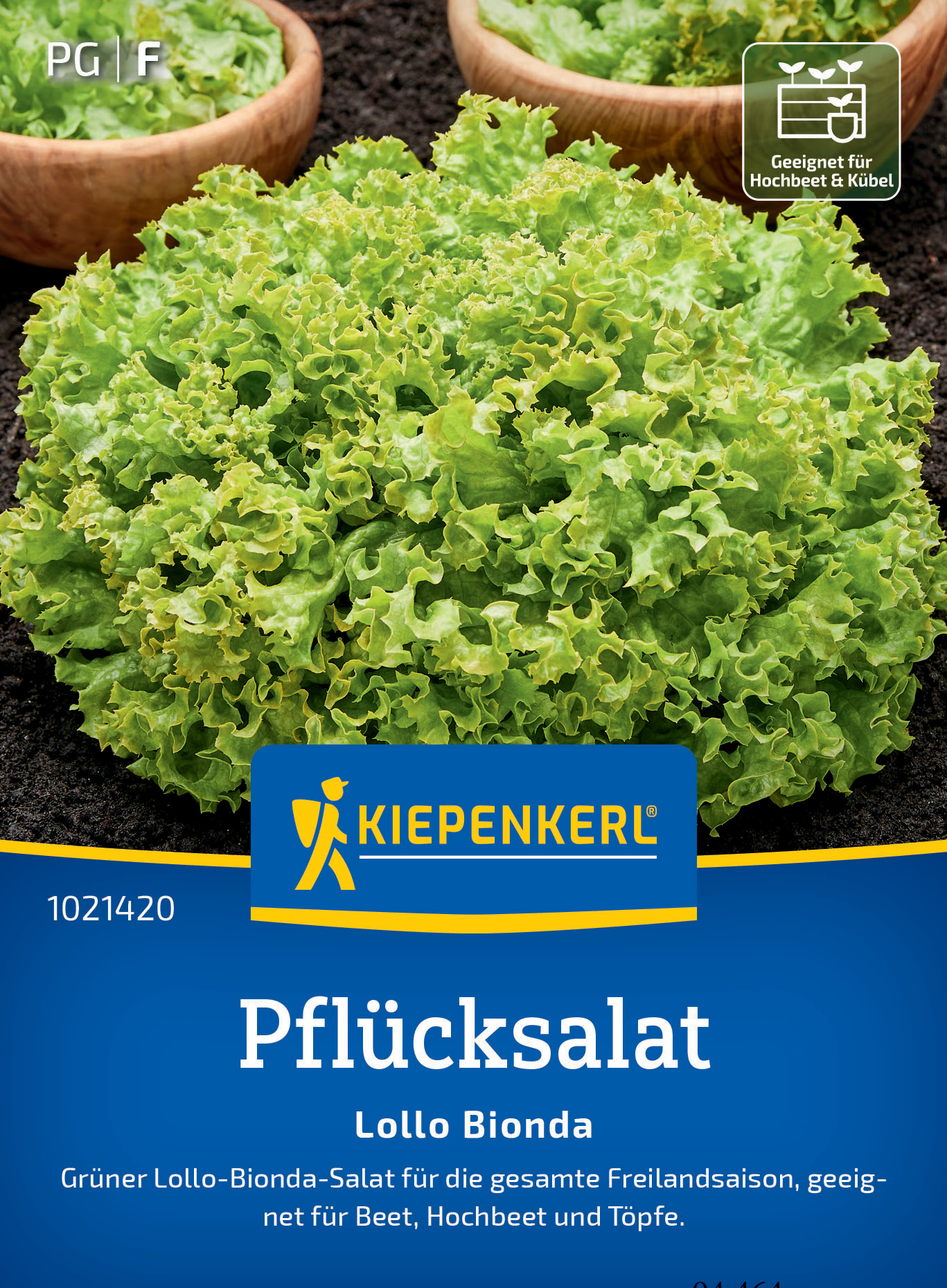 Grüner Lollo-Bionda Salatkopf auf Erde mit mehreren Schalen im Hintergrund.