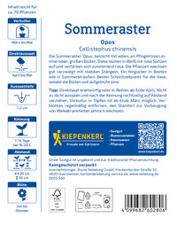 Sommerastersamen Opus