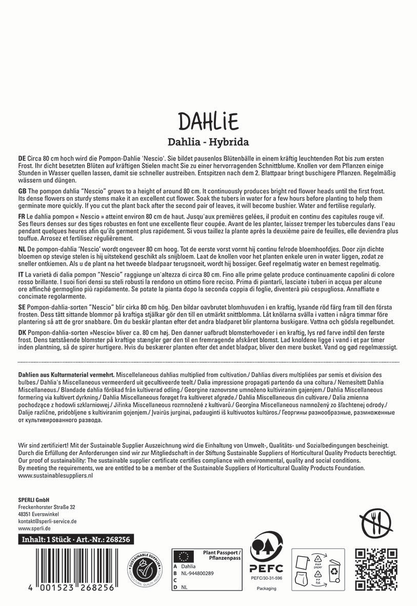 Text auf einem Pflanzenverpackungsetikett mit Beschreibungen verschiedener Dahlienarten auf Deutsch, Englisch, Niederländisch, Italienisch, Spanisch und Dänisch.