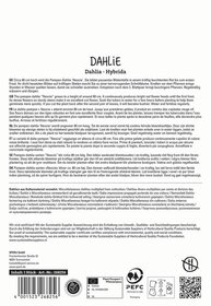 Text auf einem Pflanzenverpackungsetikett mit Beschreibungen verschiedener Dahlienarten auf Deutsch, Englisch, Niederländisch, Italienisch, Spanisch und Dänisch.