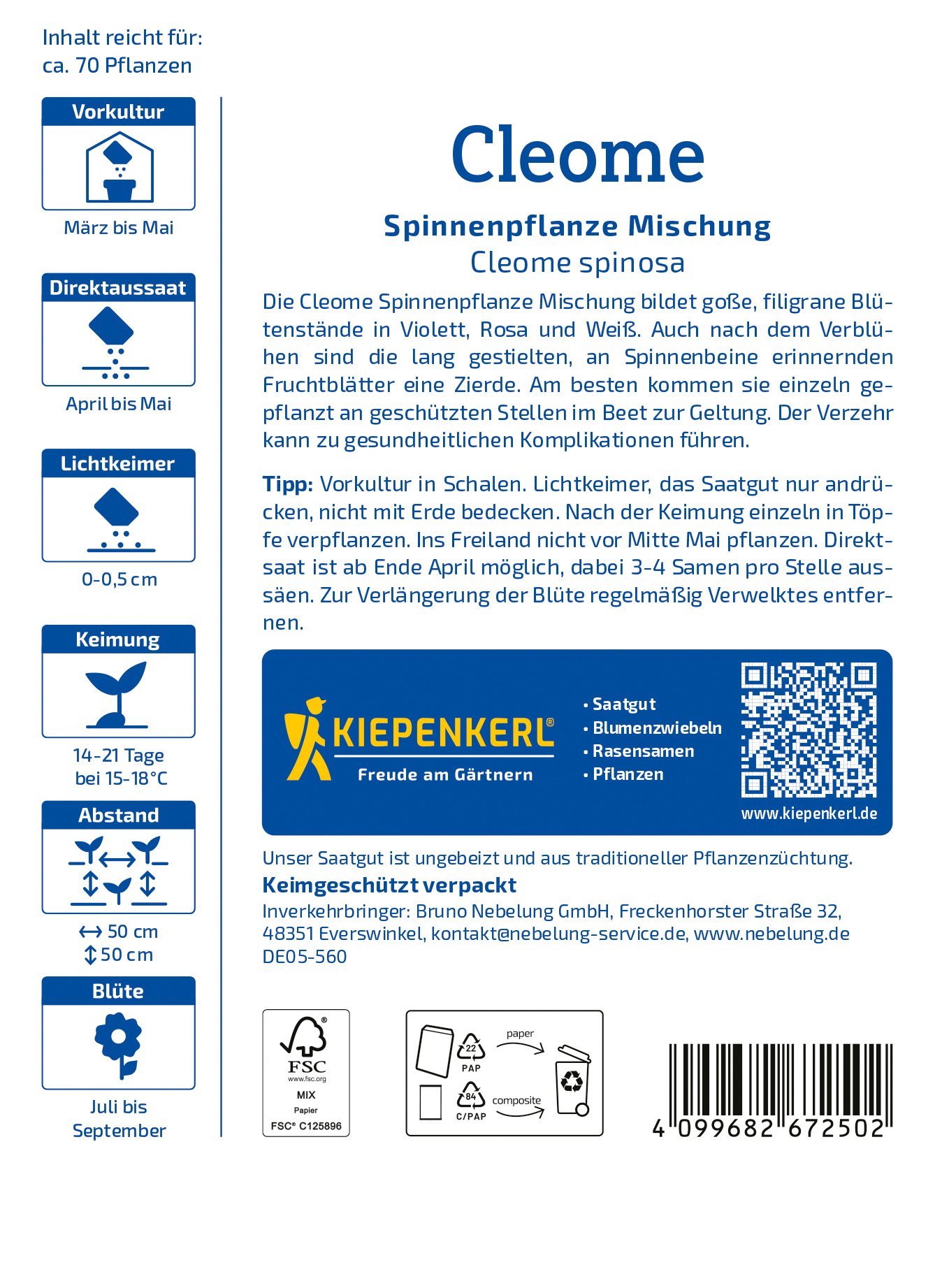 Cleomesamen Spinnenpflanze Mischung