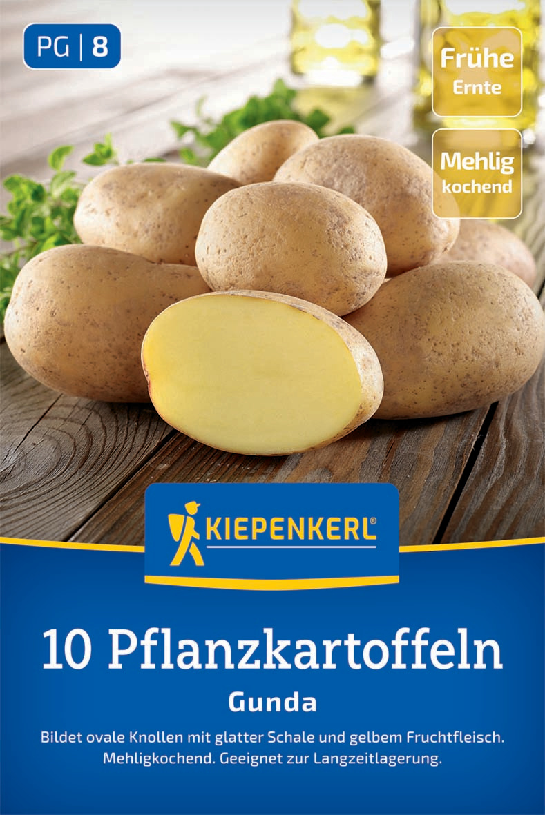 Pflanzkartoffel Gunda, 10 Stück