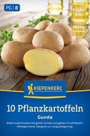 Pflanzkartoffel Gunda, 10 Stück
