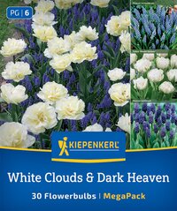 Mega-Pack Blumenzwiebelmischung White Cloud & Dark Heaven Mix