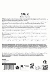Text auf dem Bild beschreibt die Dahlia-Varietät Dahlia - Hybrida in mehreren Sprachen mit Produktinformationen und Zertifizierungen.