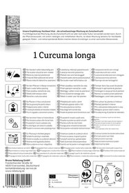 Kurkuma Curcuma longa