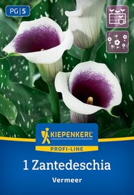Blumenzwiebeln fr Calla kaufen