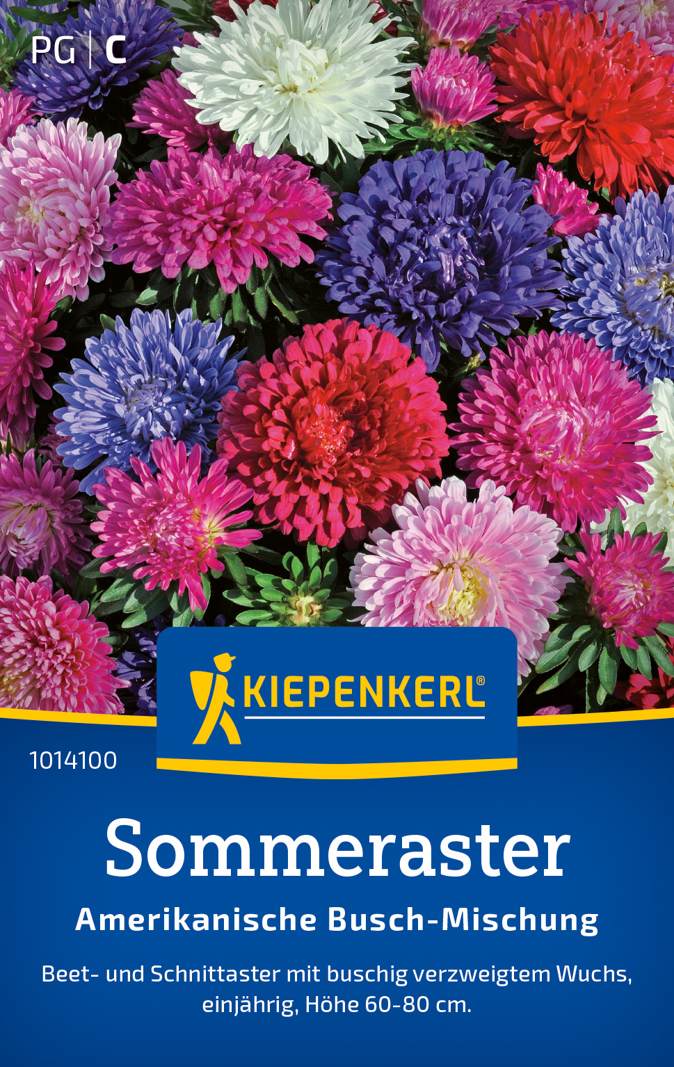 Sommerastersamen Amerikanische Busch-Mischung