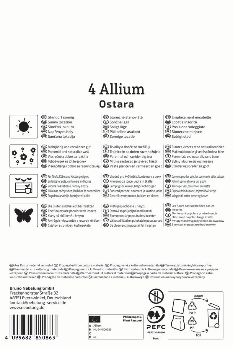 Zierlauch Ostara