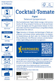Paket mit Saatgut für Cocktail-Tomate Figiel, Solanum lycopersicum, ca. 15 Pflanzen, inklusive QR-Code.