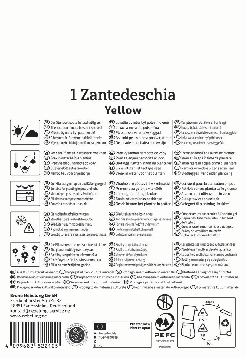 Anleitung für die Pflege einer Zantedeschia, Symbole erklären Wasserdosierung, Standort, Pflanzung, Frostschutz und Recycling.