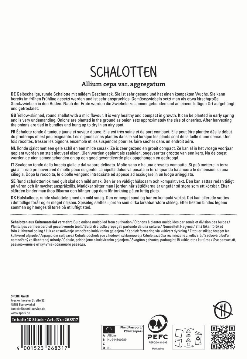Runde gelbe Zwiebelschalotten mit mildem Geschmack, aufgereiht, auf weißem Hintergrund.