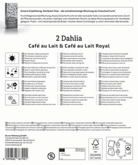 Dahlien Duo Café au Lait & Café au Lait Royal