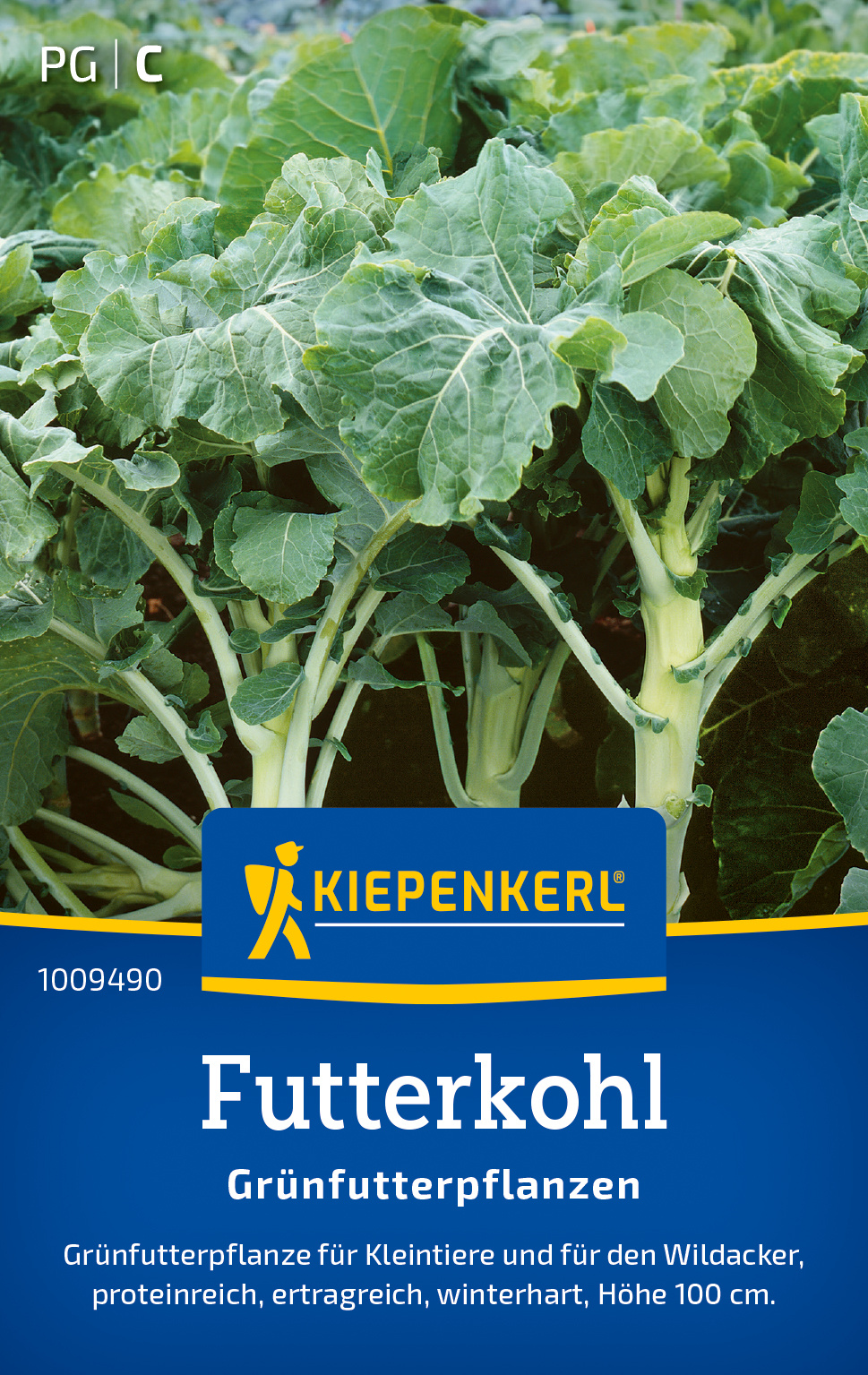 Futterkohlsamen Grünfutterpflanze