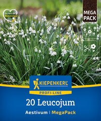 Weiße Maiglöckchen im Grün, auf Verpackung abgebildet.