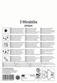 Drei Mirabilis Jalapa auf weißem Hintergrund, Textanweisungen zu Standort, Wasser, Pflanzung, Pflege und Recycling.
