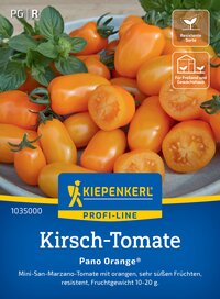 Gelbe Cherrytomaten mit grünen Stielen, eine aufgeschnitten mit sichtbarem Fruchtfleisch, auf hellem Hintergrund.